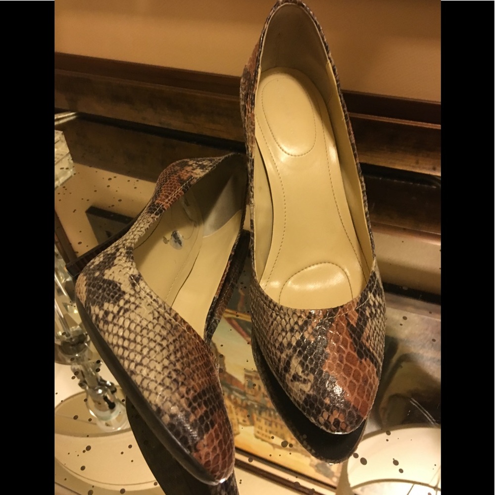 Snake Skin High Heel Pump